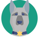 animals,pet,dog,dog nose,german shepherd,police dog